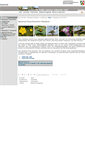 Mobile Screenshot of neobiota.naturschutzinformationen-nrw.de